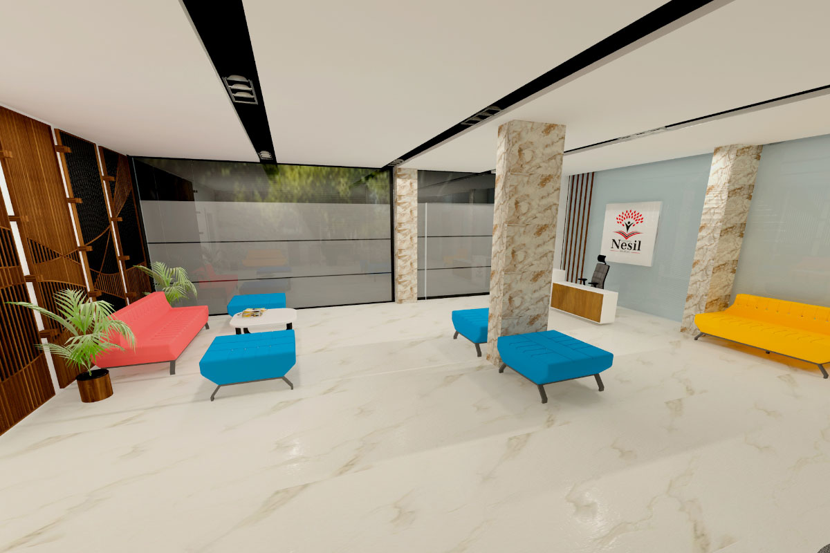 Giriş Alanı Projeleri