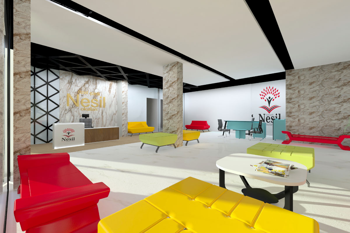 Giriş Alanı Projeleri