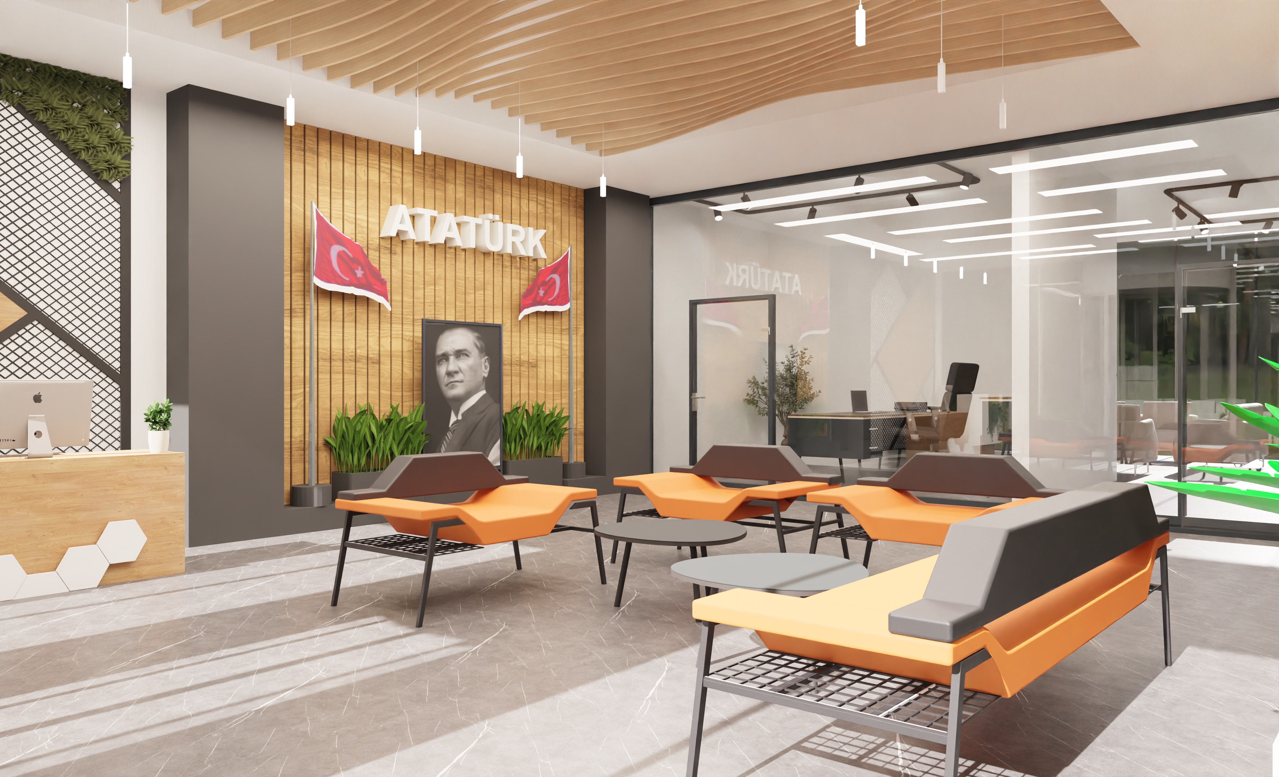 Giriş Alanı Projeleri