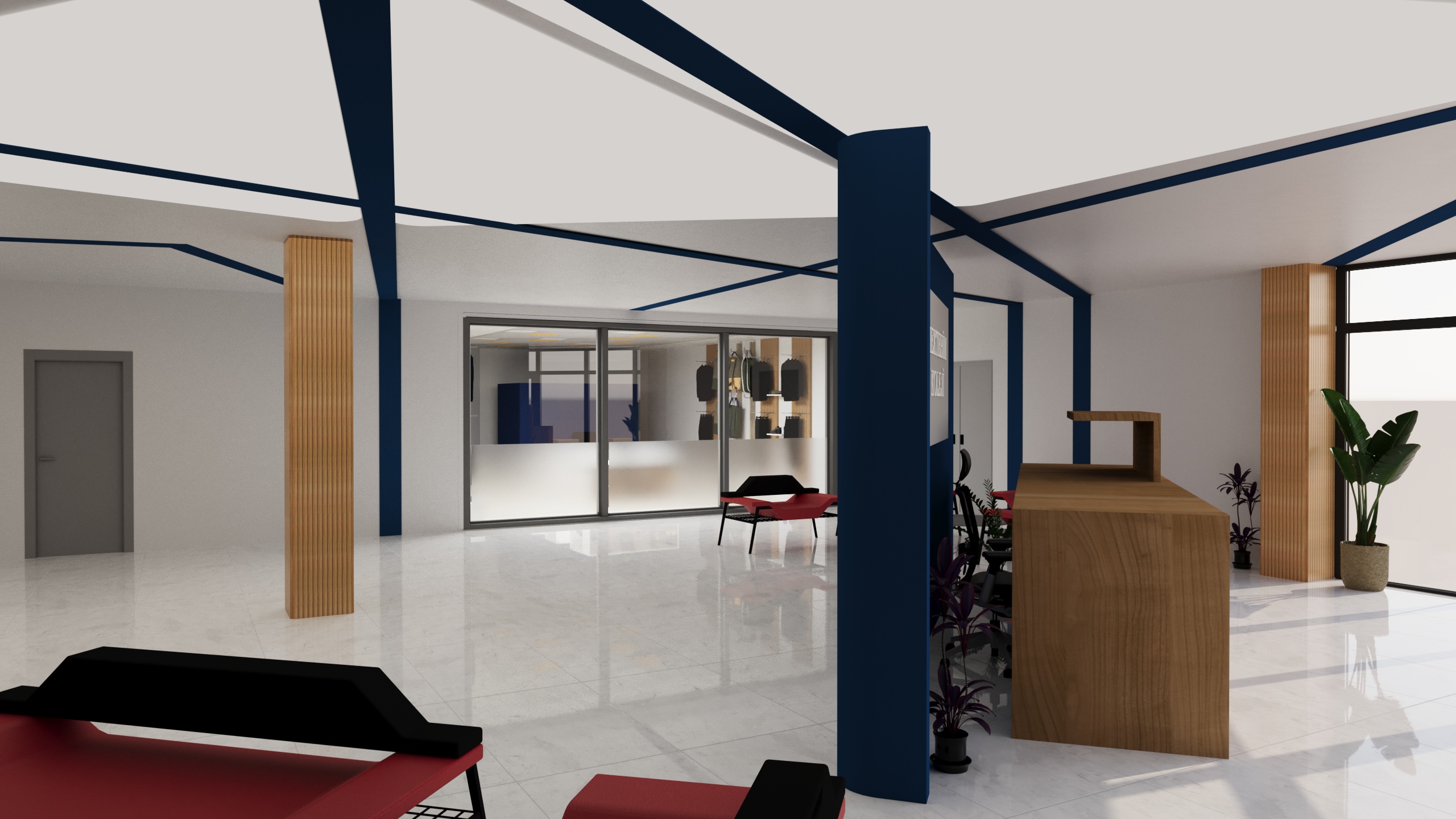 Giriş Alanı Projeleri