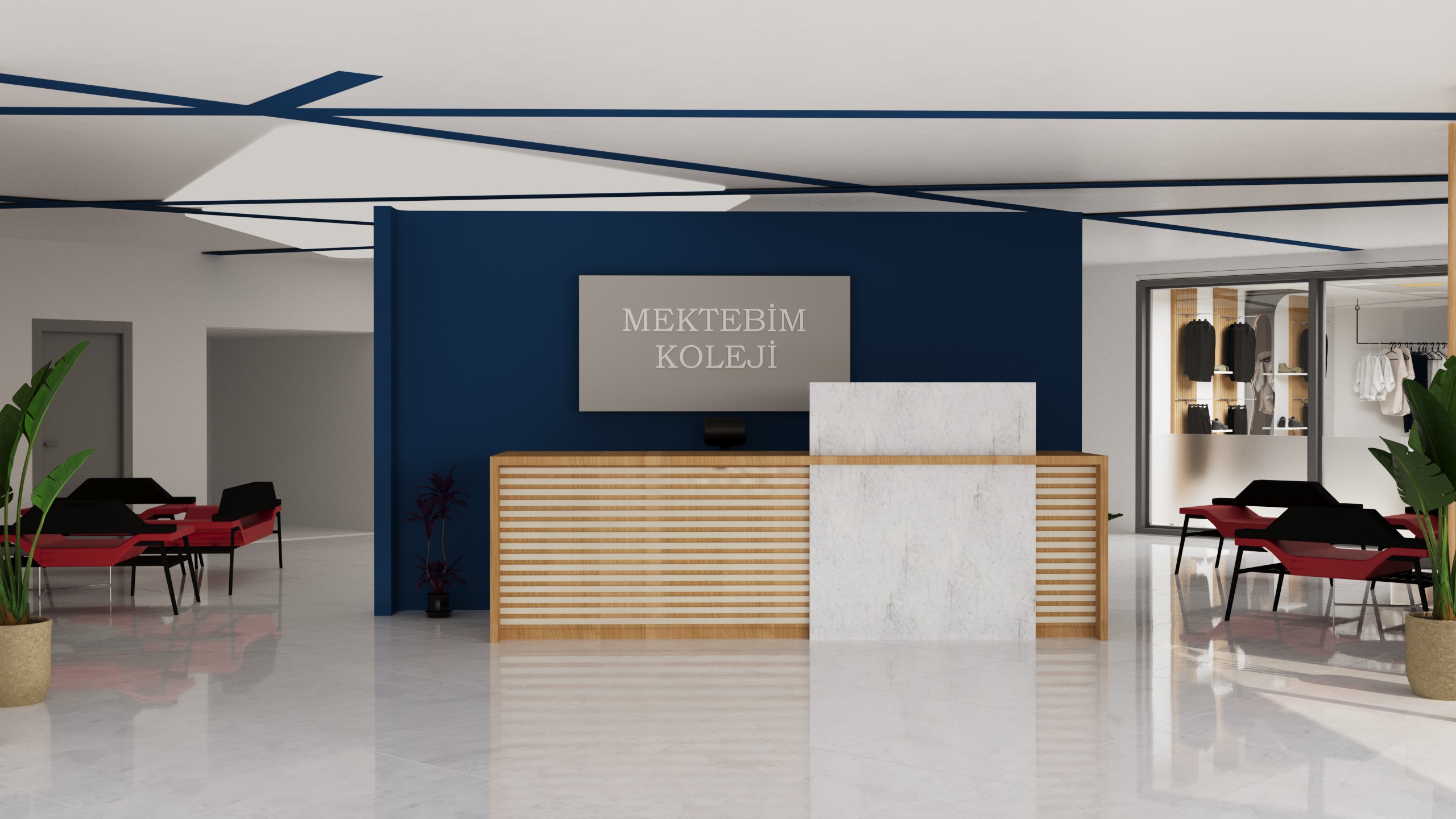 Giriş Alanı Projeleri