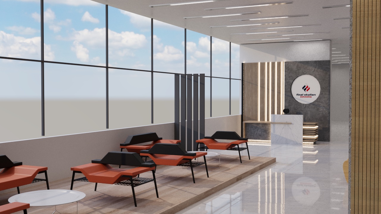 Giriş Alanı Projeleri